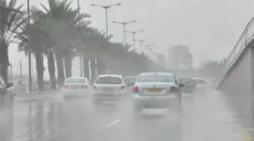 الأرصاد تنذر: حالة عدم استقرار غدا وفرص سقوط أمطار غزيرة ورعدية